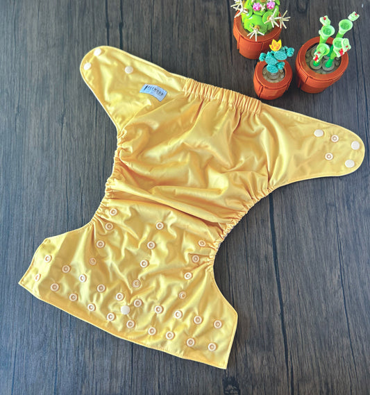 Summer Vacation and Rep-Choice Collections Daisy XL(Seconds)