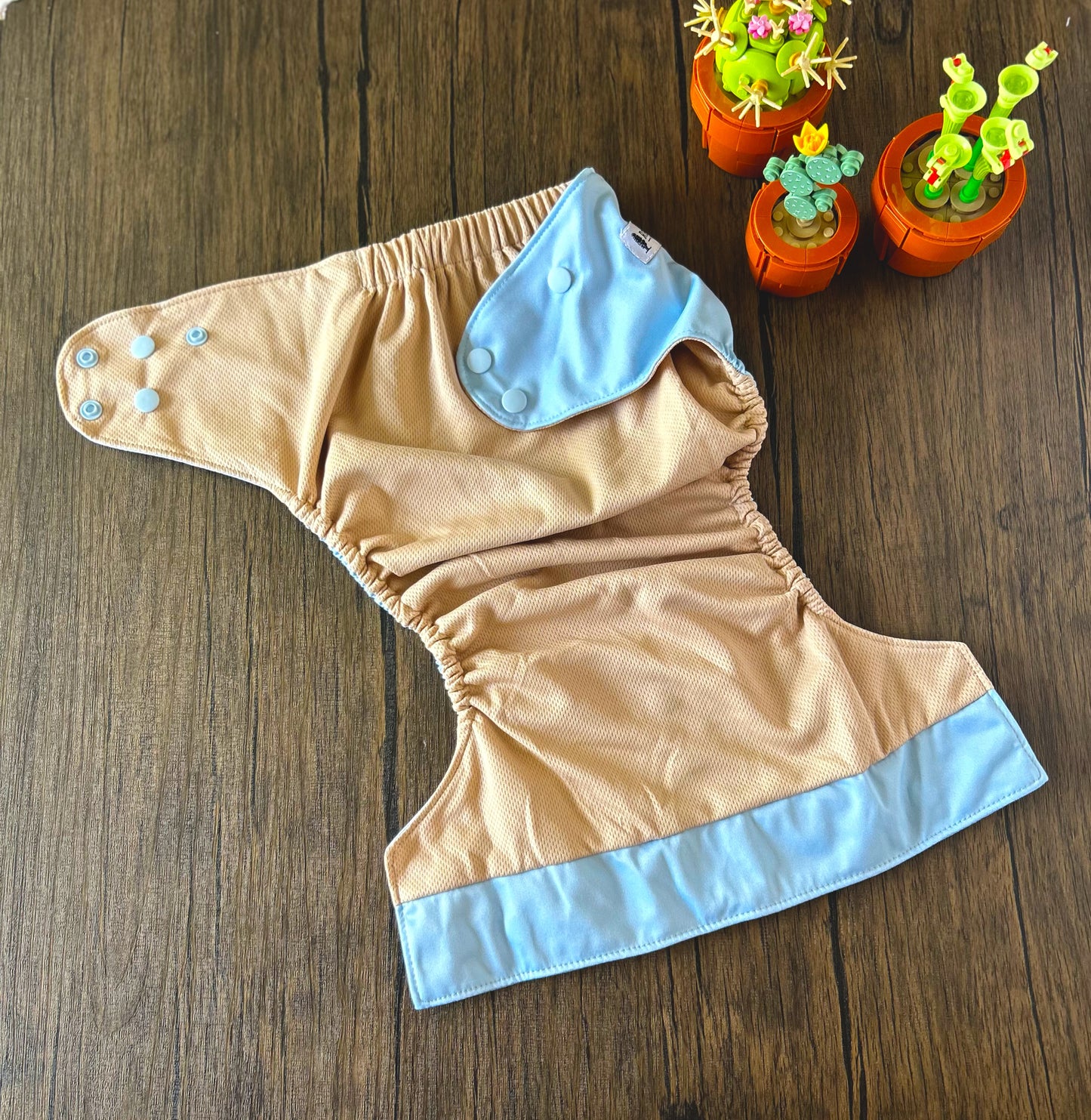 Summer Vacation and Rep-Choice Collections Hydrangea XL