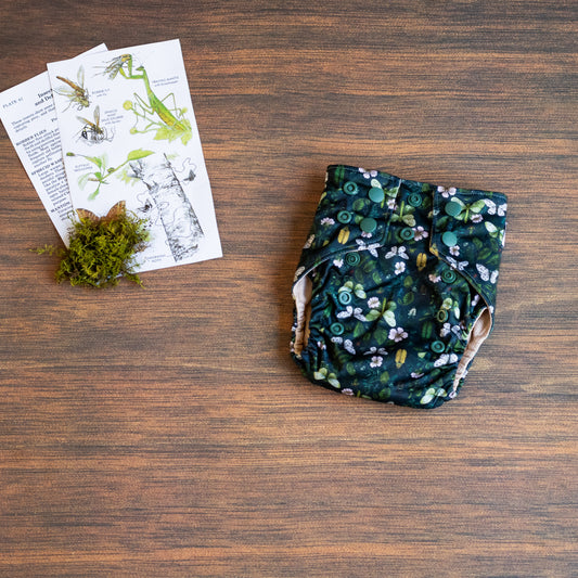 Entomology Collection Flutter and Forage NBAIO