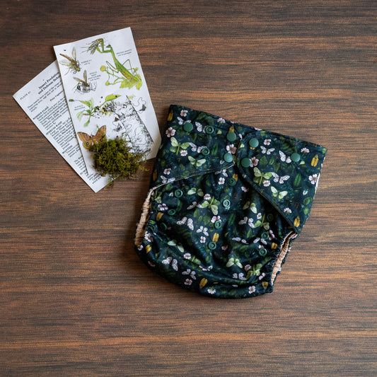 Entomology Collection Flutter and Forage XL