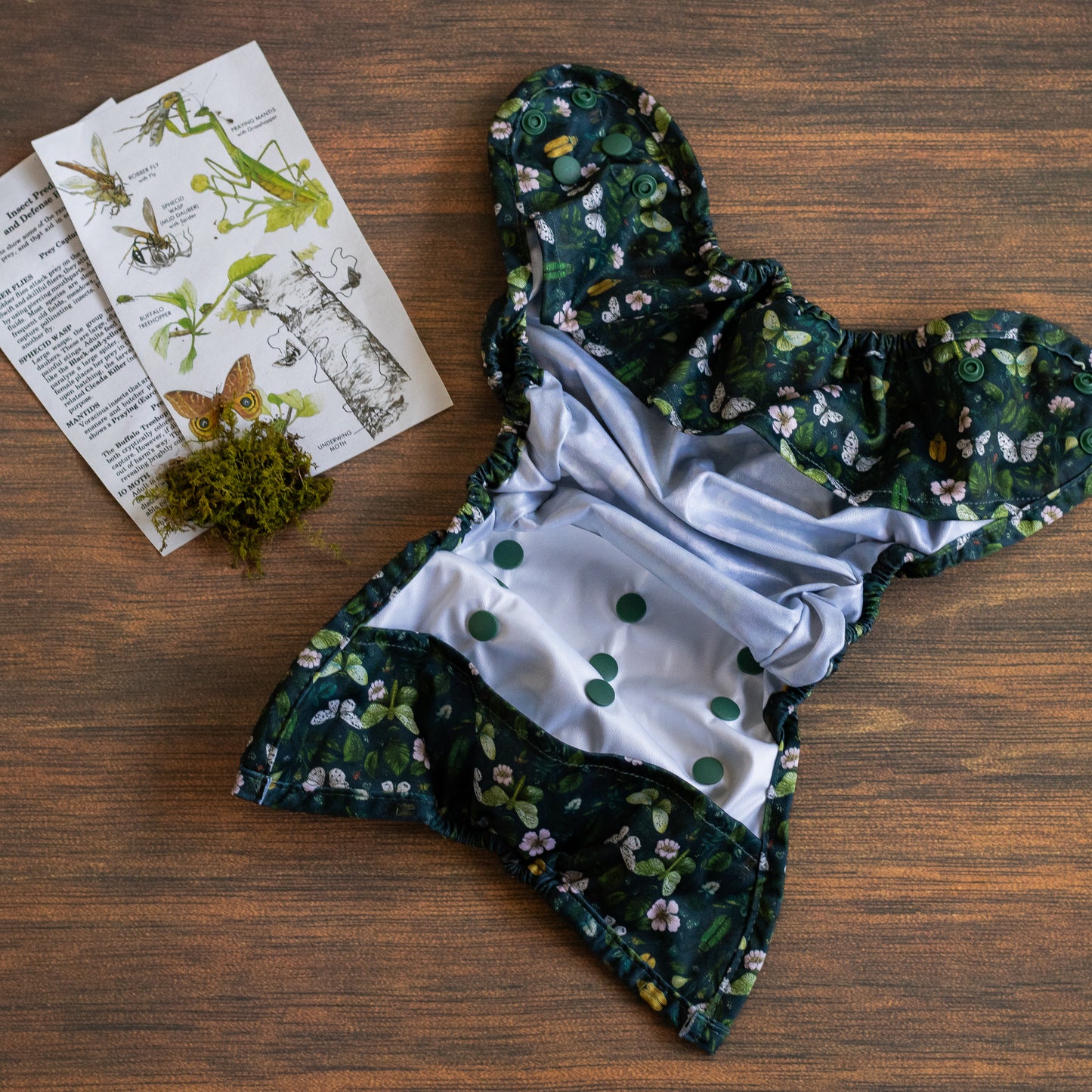 Entomology Collection Flutter and Forage OS Cover