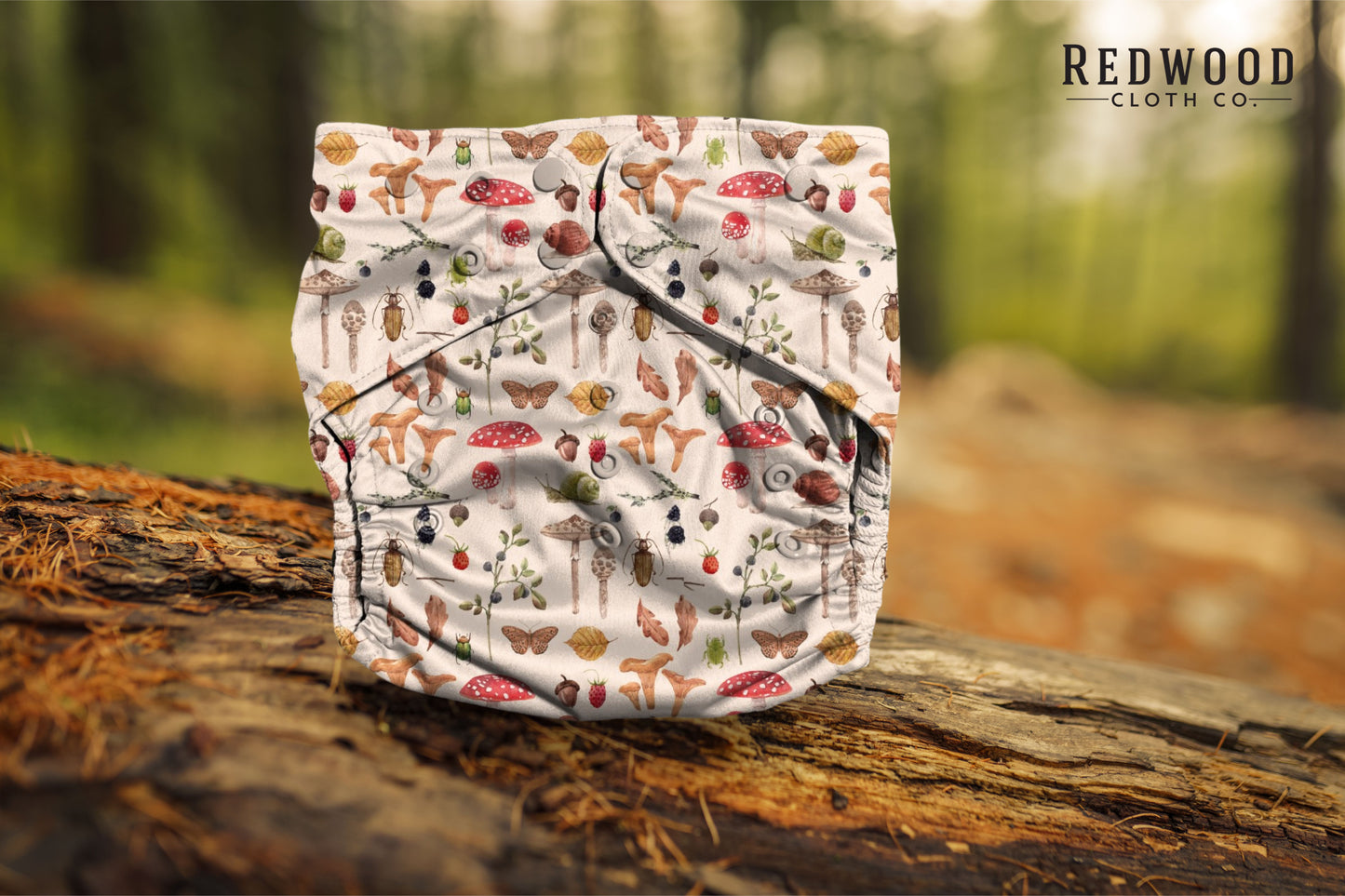 Entomology Collection **PREORDER** Woodland Wonders