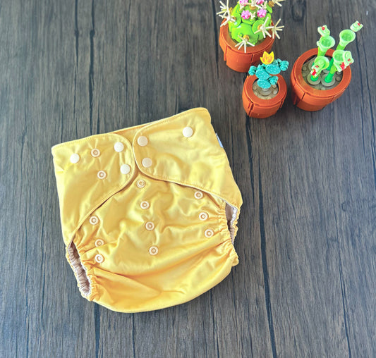 Summer Vacation and Rep-Choice Collections Daisy XL(Seconds)