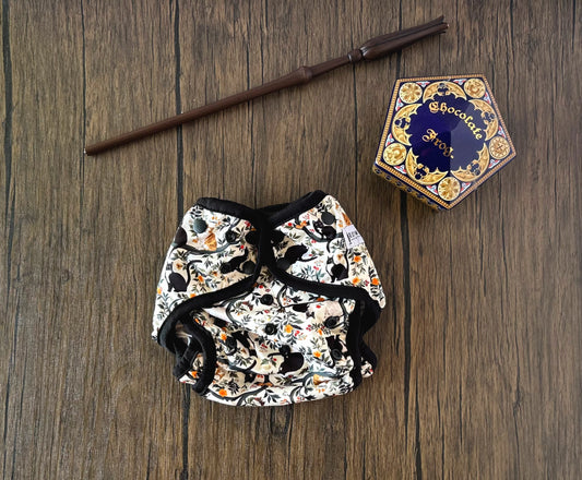 Fantasy Collection Animagus Cover OS