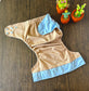 Summer Vacation and Rep-Choice Collections Hydrangea XL