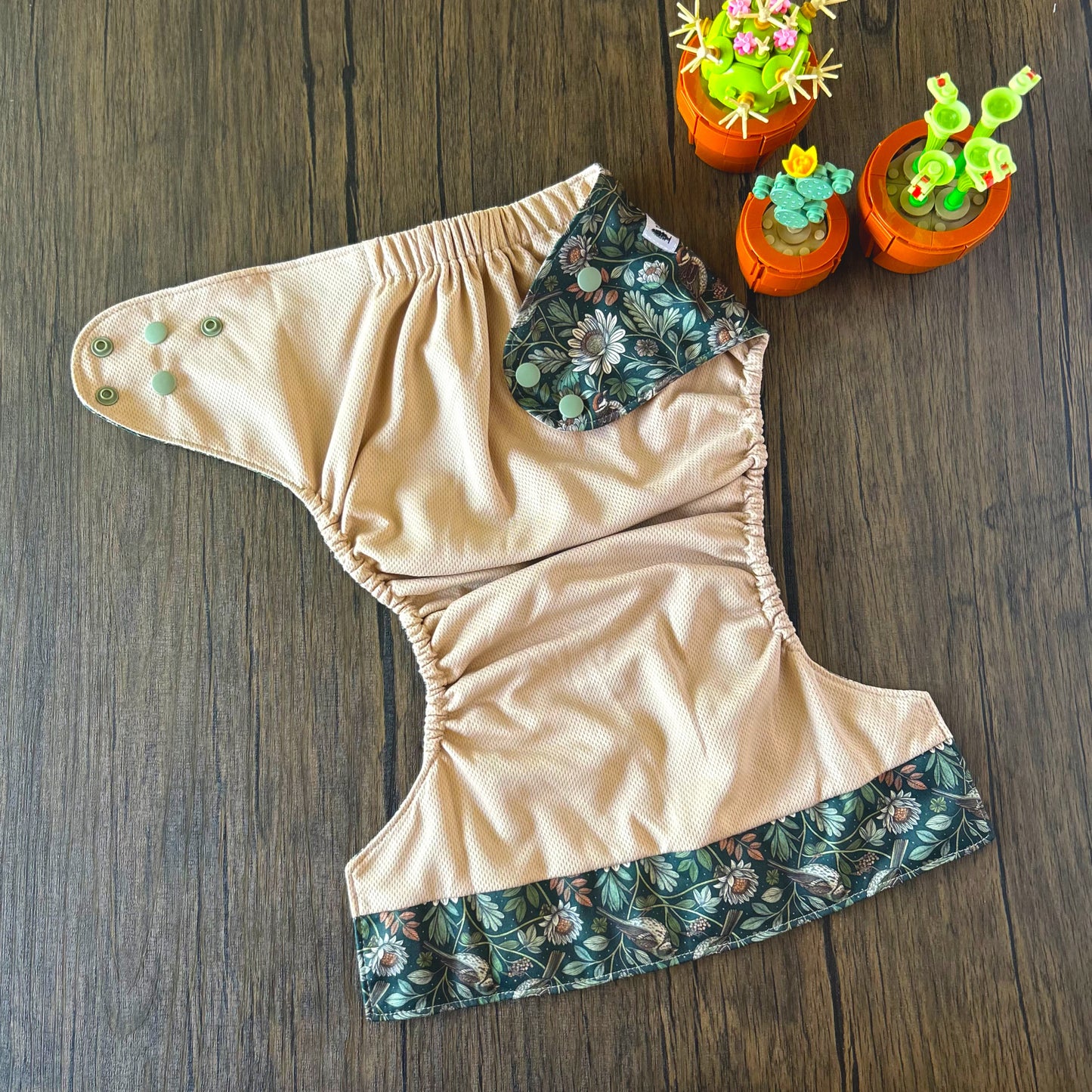 Summer Vacation and Rep-Choice Collections Elodie XL