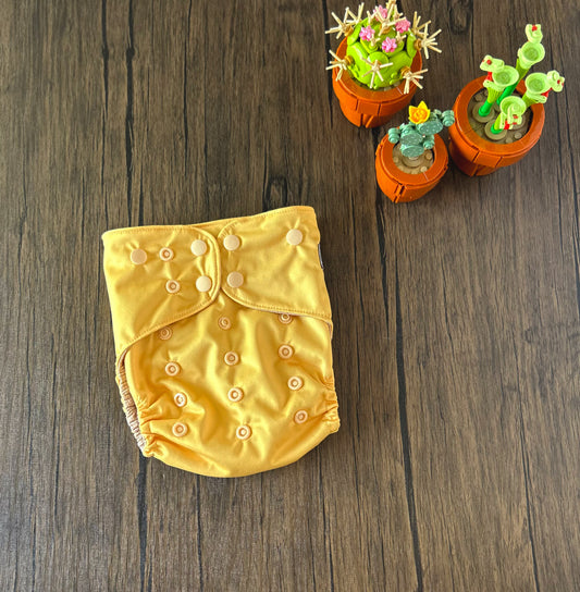 Summer Vacation and Rep-Choice Collections Daisy OS(Seconds)