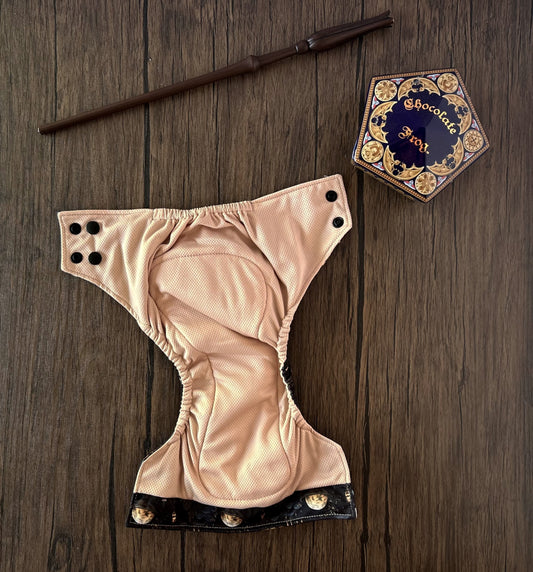 Fantasy Collection Study Session Newborn AIO