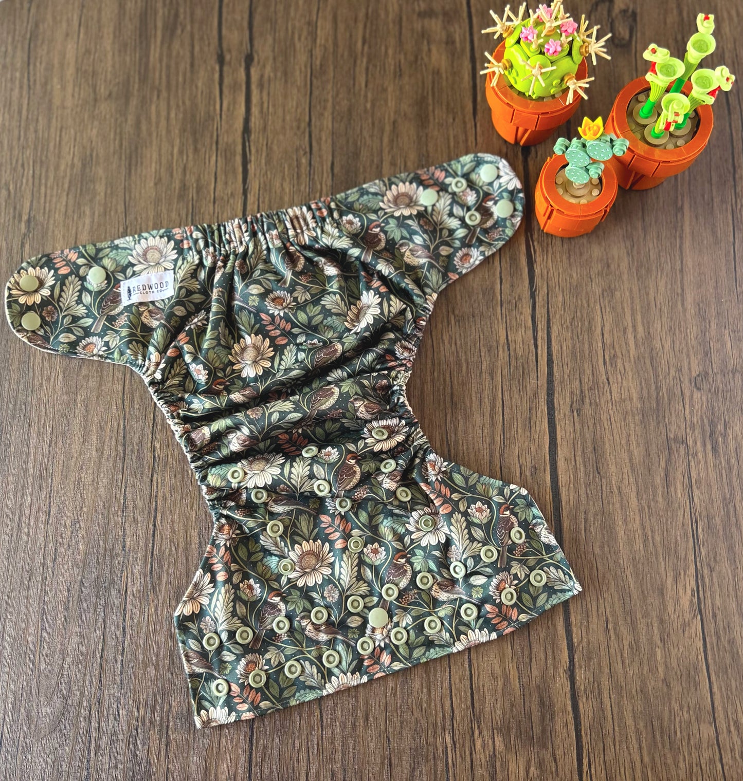 Summer Vacation and Rep-Choice Collections Elodie OS