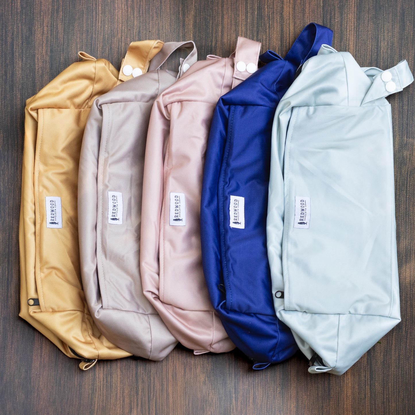 Entomology Collection Reversible Pods (NEW!)