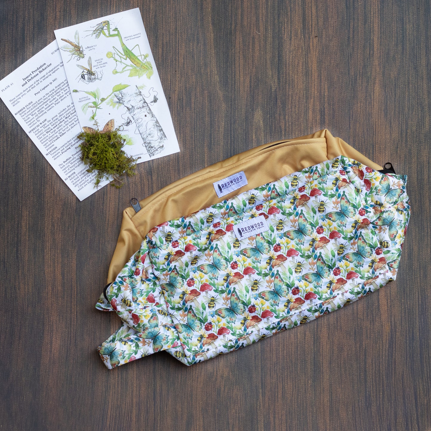 Entomology Collection Reversible Pods (NEW!)