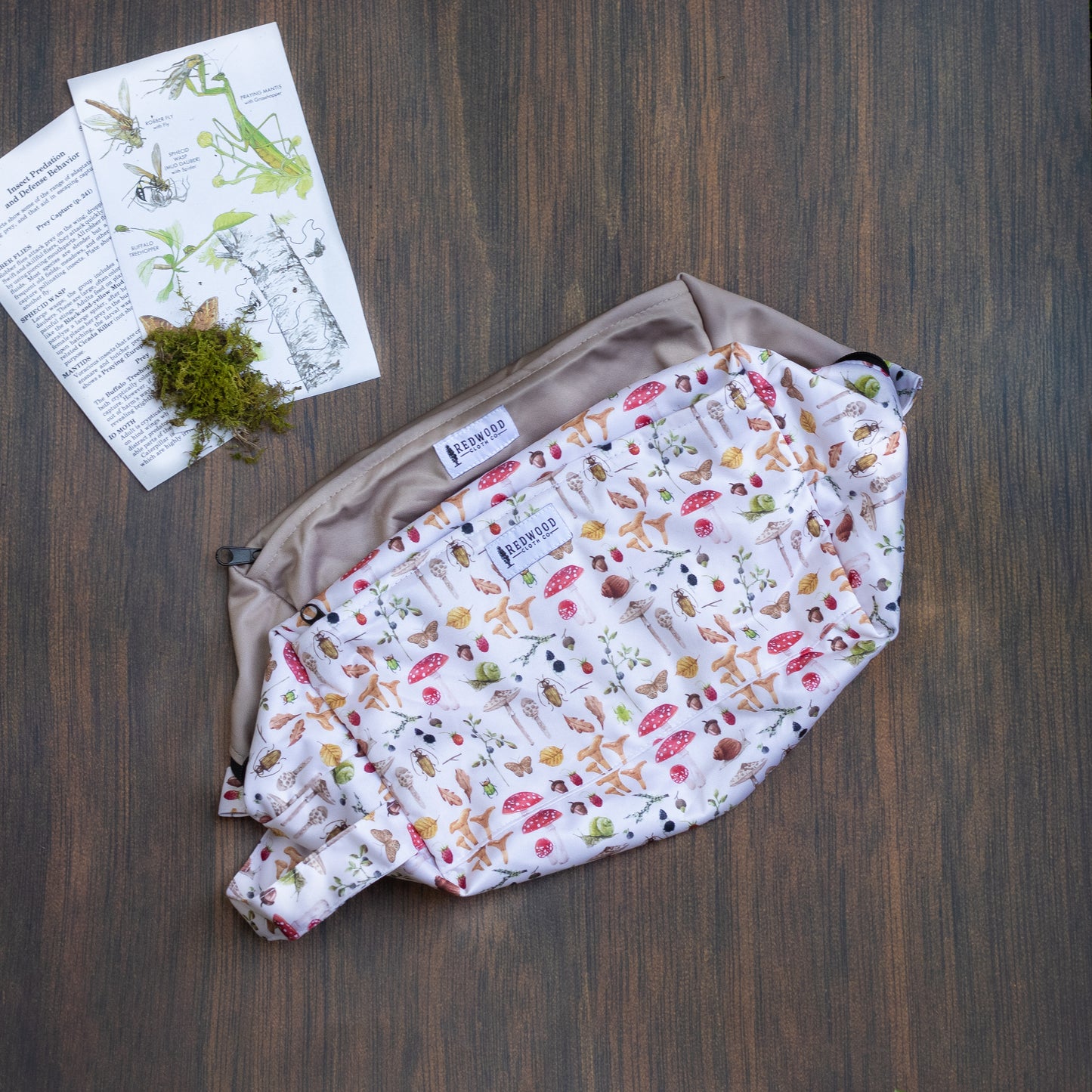 Entomology Collection Reversible Pods (NEW!)