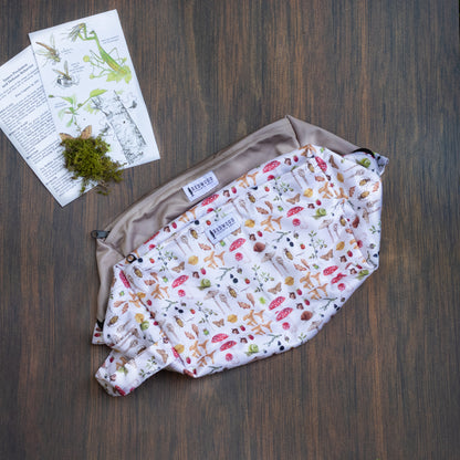 Entomology Collection Reversible Pods (NEW!)