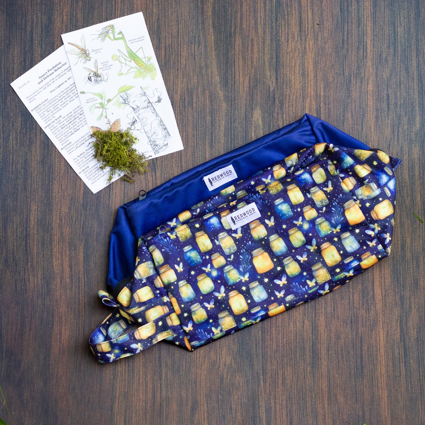 Entomology Collection Reversible Pods (NEW!)