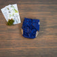 Entomology Collection Blue Beetle NBAIO