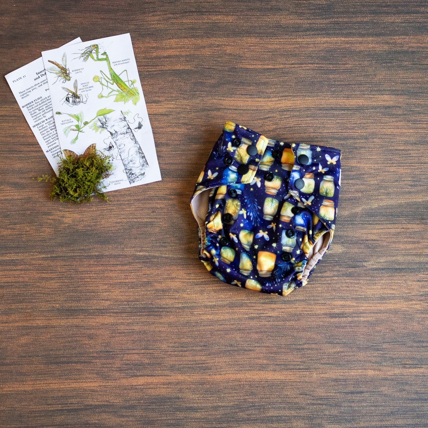 Entomology Collection NightLight NBAIO