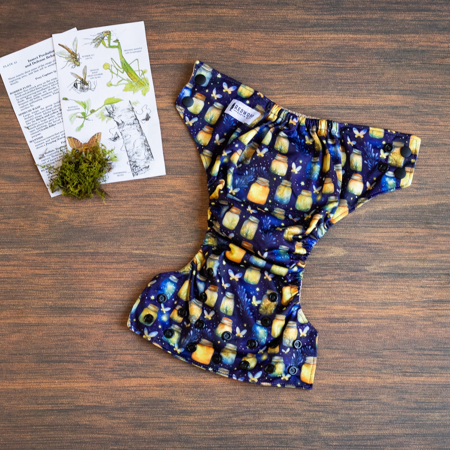 Entomology Collection NightLight NBAIO