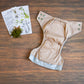 Entomology Collection Walking Leaf NBAIO