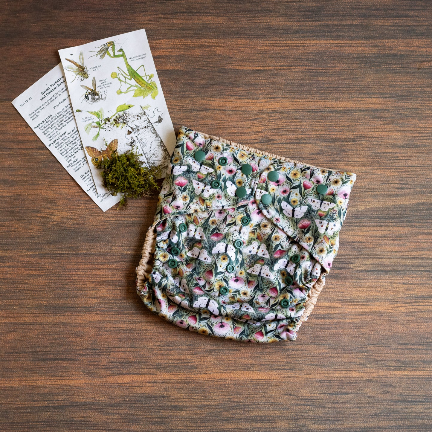 Entomology Collection Secret Garden XL
