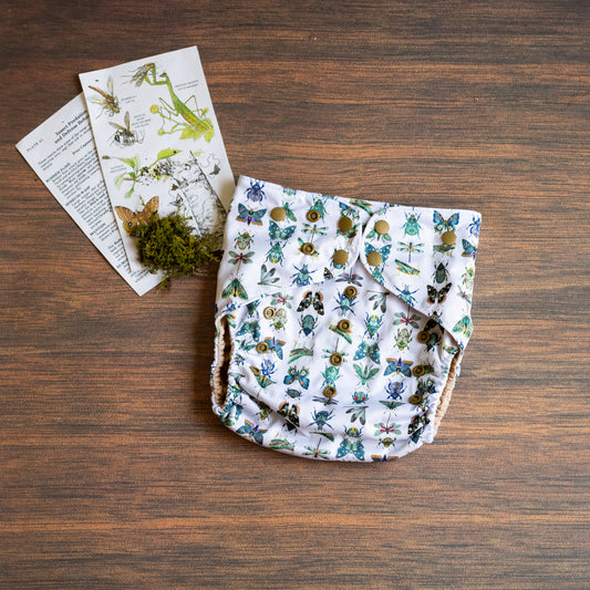 Entomology Collection June Bugs XL