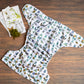 Entomology Collection June Bugs XL