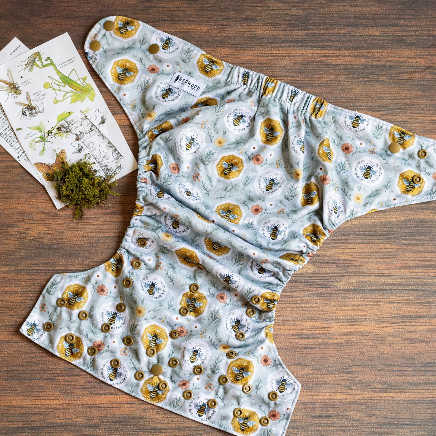Entomology Collection Bee Cozy XL