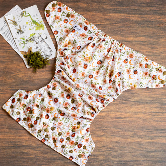 Entomology Collection Ladybird Lullabye XL