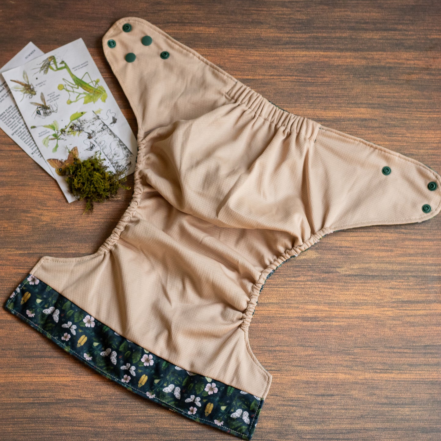 Entomology Collection Flutter and Forage XL