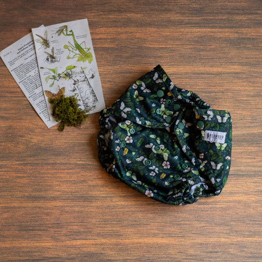 Entomology Collection Flutter and Forage XL Cover
