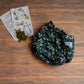 Entomology Collection Flutter and Forage XL Cover