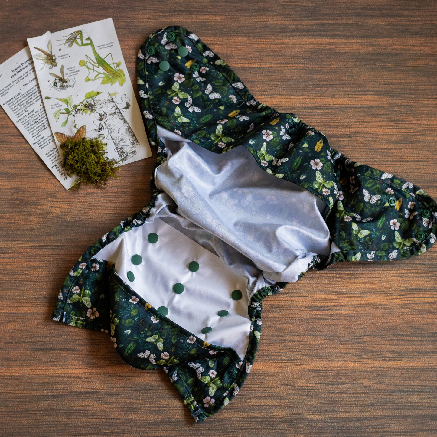 Entomology Collection Flutter and Forage XL Cover
