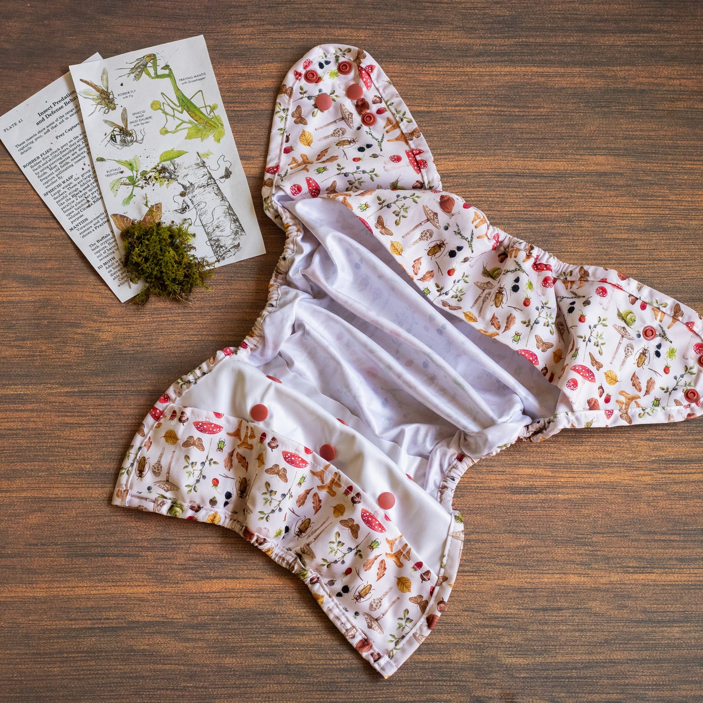 Entomology Collection Woodland Wonders XL Cover