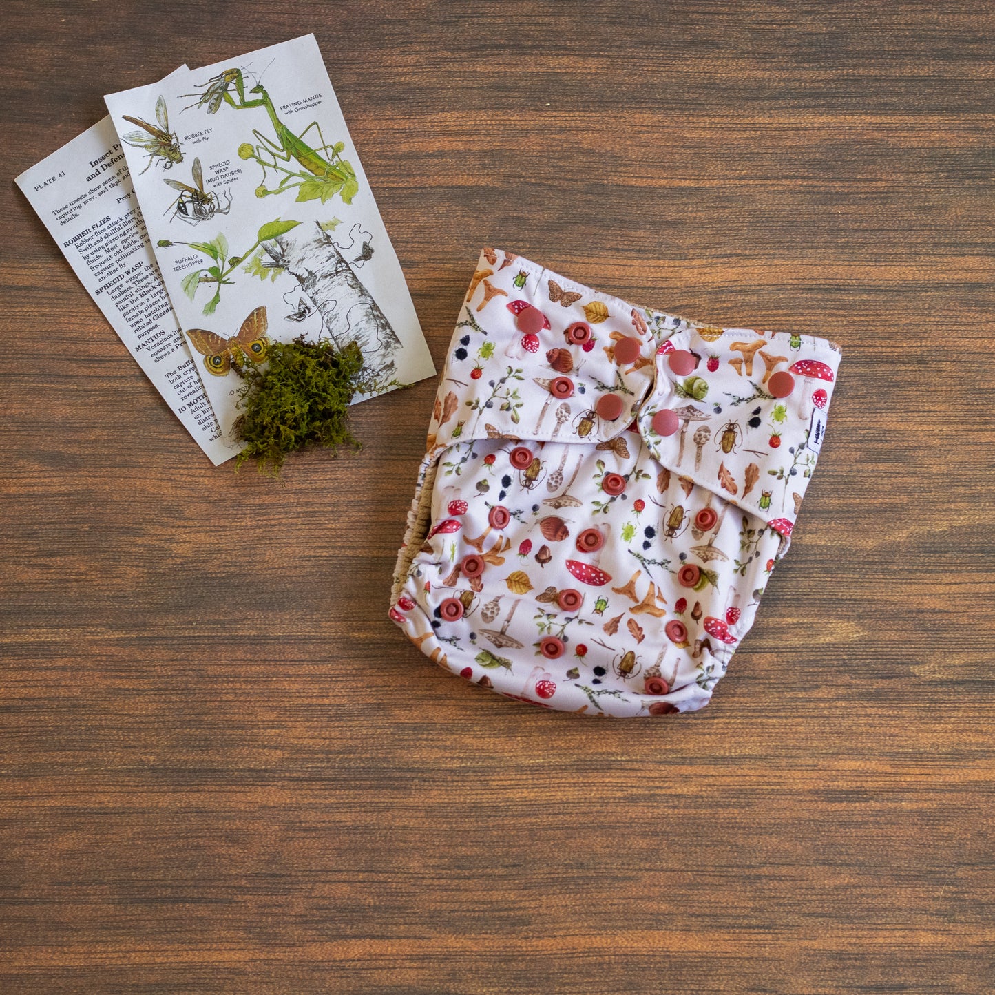 Entomology Collection Woodland Wonders OS