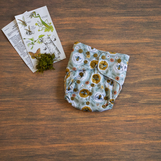 Entomology Collection Bee Cozy OS