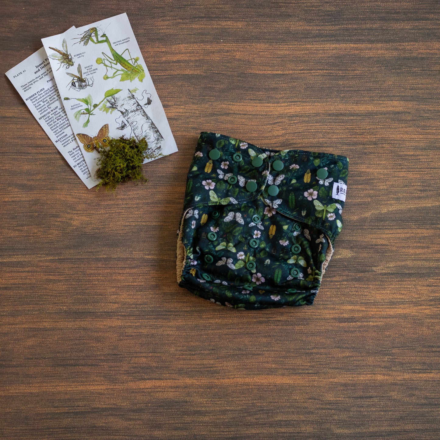 Entomology Collection Flutter and Forage OS