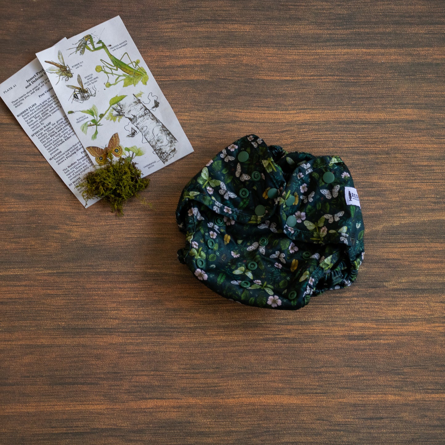 Entomology Collection Flutter and Forage OS Cover