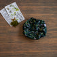 Entomology Collection Flutter and Forage OS Cover