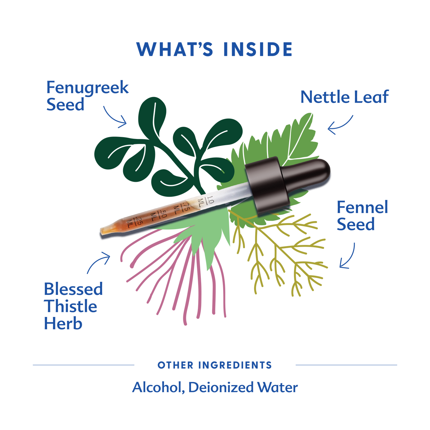 More Milk Plus® - Tincture