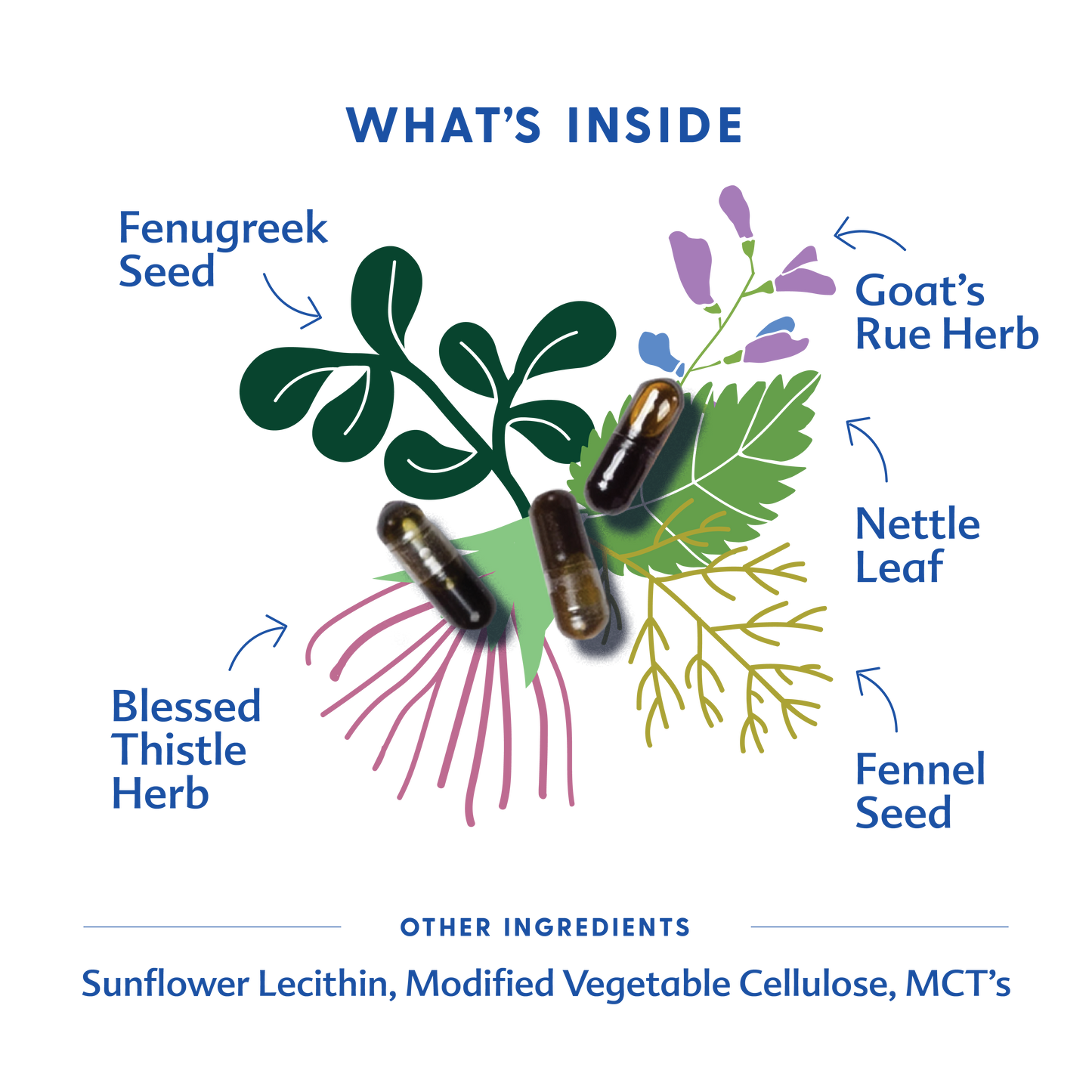 More Milk® Special Blend - Liquid Capsules
