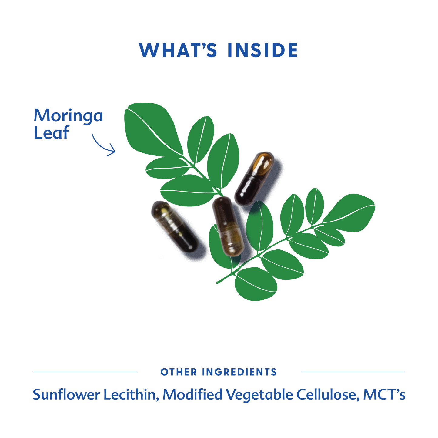 Moringa (Malunggay) - Liquid Capsules