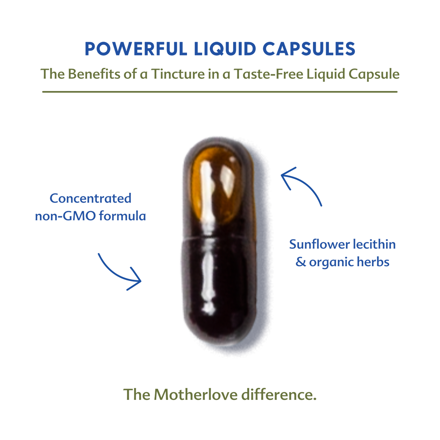 Moringa (Malunggay) - Liquid Capsules