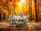 Autumn Adventures Collection *Preorder* Reversible Pods