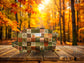 Autumn Adventures Collection *Preorder* Reversible Pods