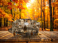 Autumn Adventures Collection *Preorder* Reversible Pods