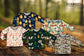Entomology Collection **PREORDER** Smock Bibs