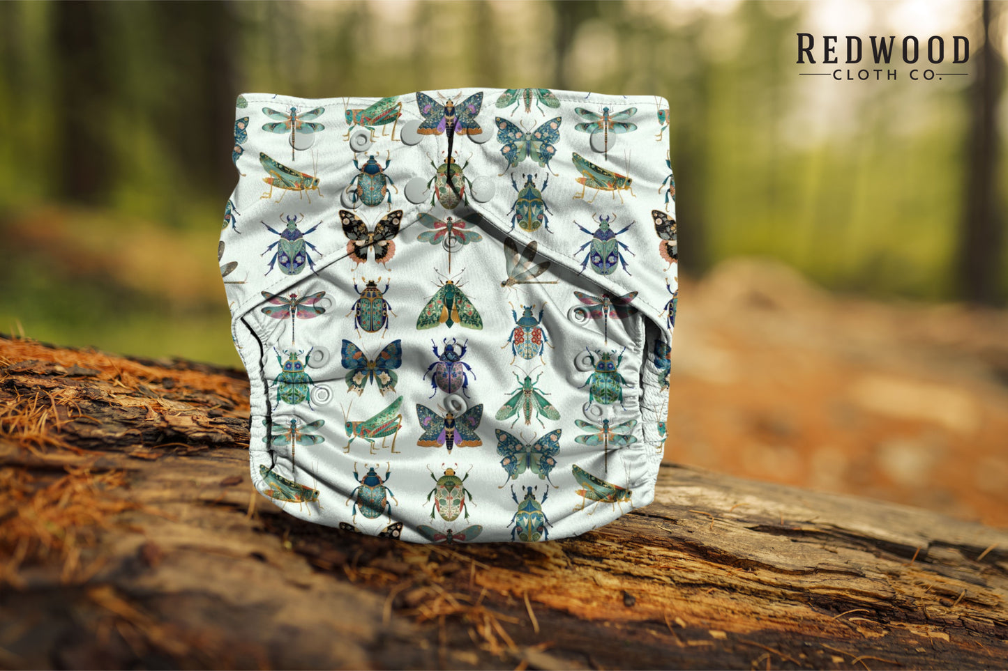 Entomology Collection **PREORDER** June Bugs
