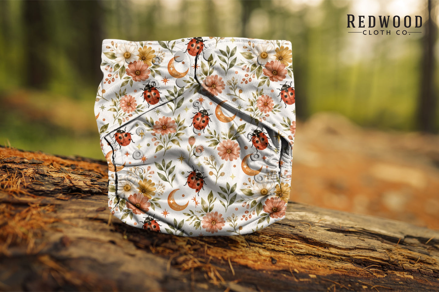 Entomology Collection **PREORDER** Ladybird Lullabye